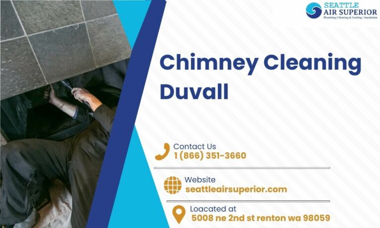 Website featured image Chimney Cleaning Duvall