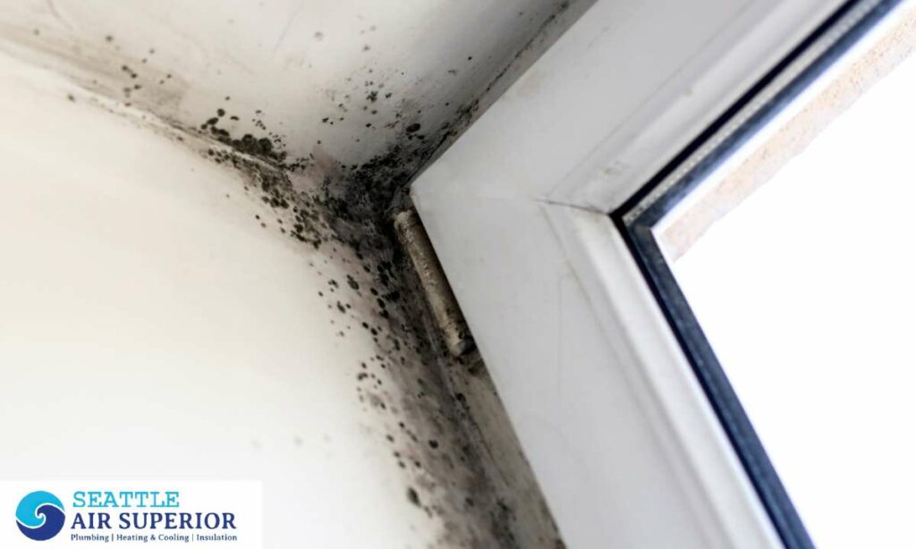 seattleairsuperior Mold Air Test Services Detecting and Addressing Mold Contamination in Seattle Homes